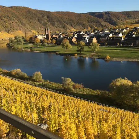Weingut Lonartz-thielmann *